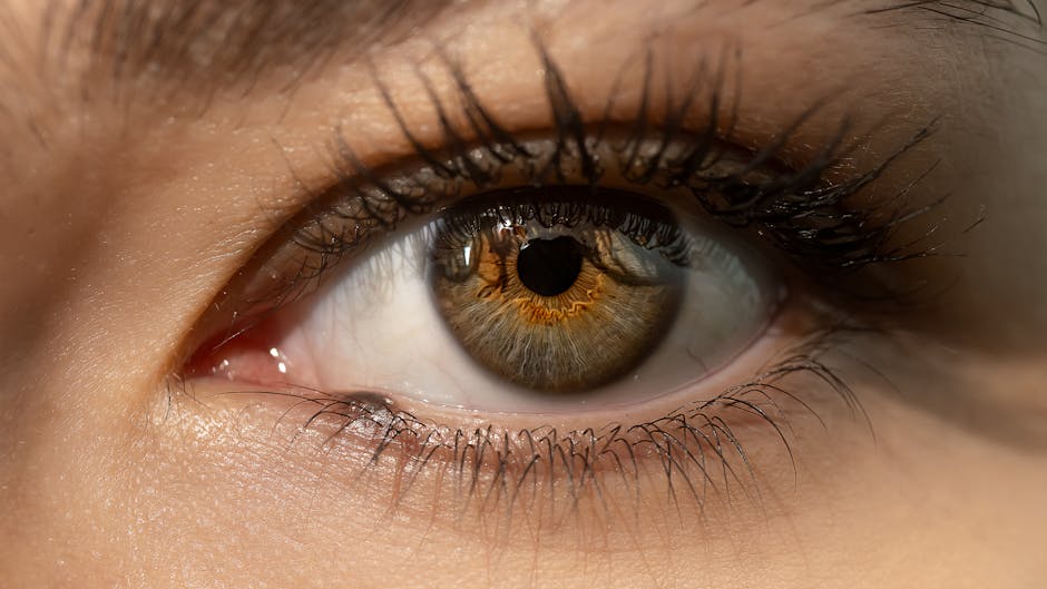 Best Mascaras: 8 Tested Picks for Every Lash Goal
