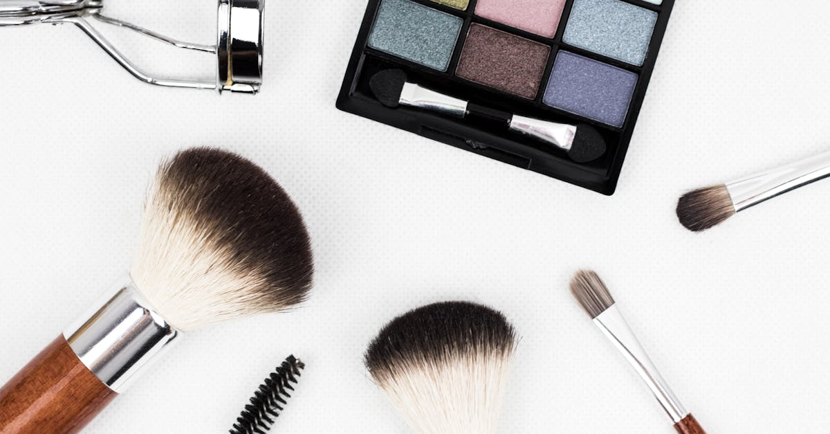 Eyeshadow Placement Guide: Where Every Shade Goes (and Why)